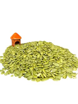 PUMPKIN SEEDS